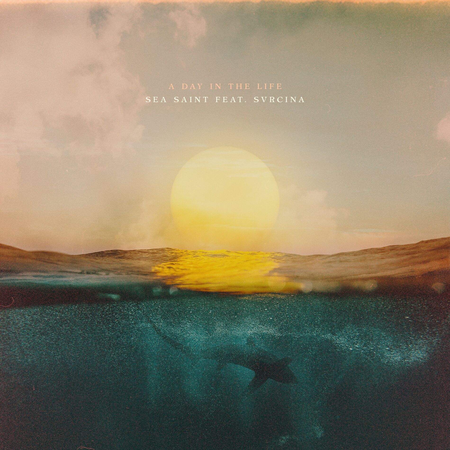 Album cover of A Day In The Life