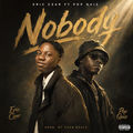 Nobody (feat. pop quiz)