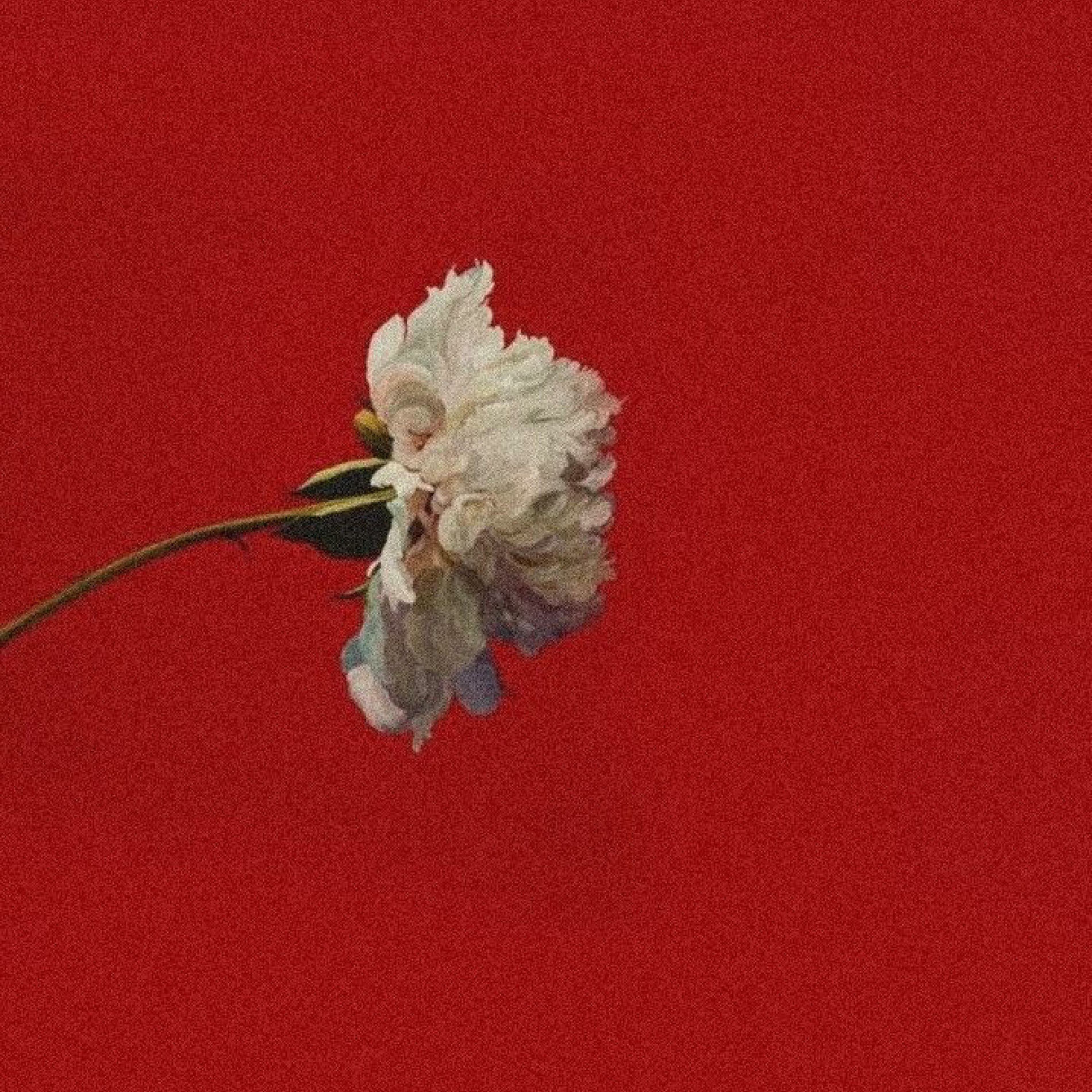 Album cover of LOVE (feat. Nosky)