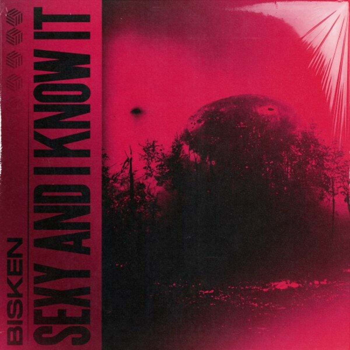 Album cover of Sexy and I Know It