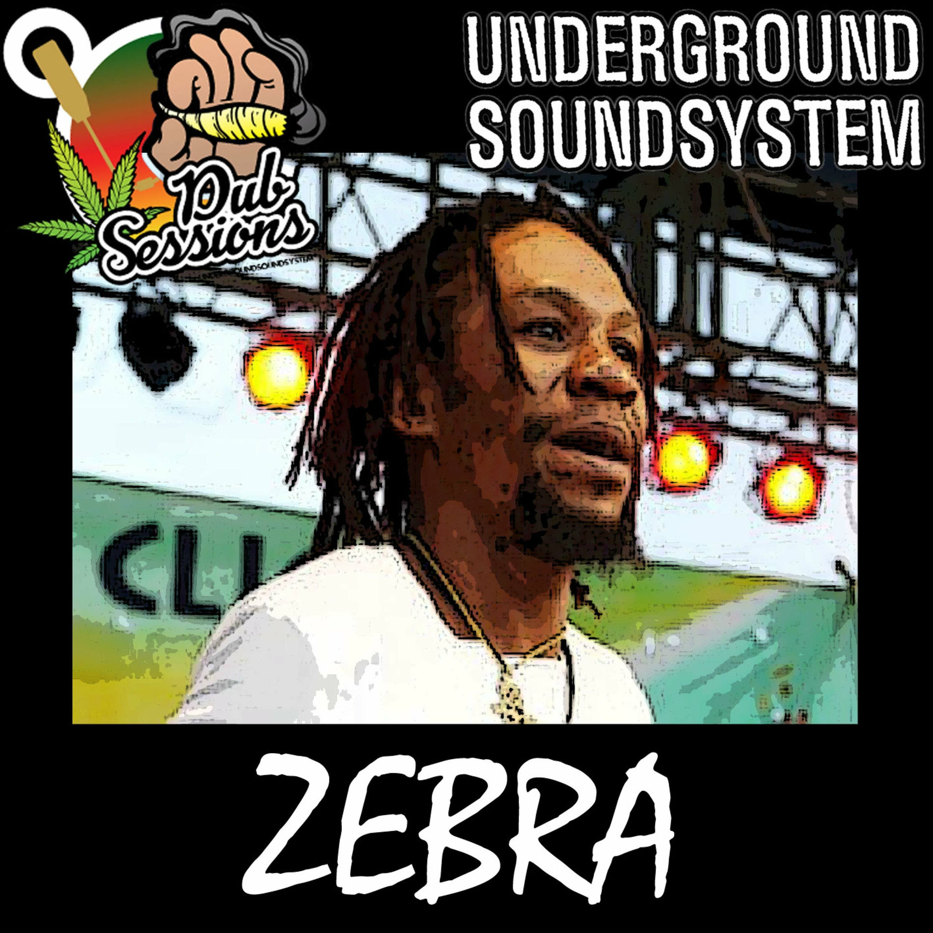 Album cover of Selassie Send Mi Fi War (Answer Riddim) (feat. Zebra) [Dubplate]
