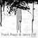 Bipolar by Frank Biazzi album cover