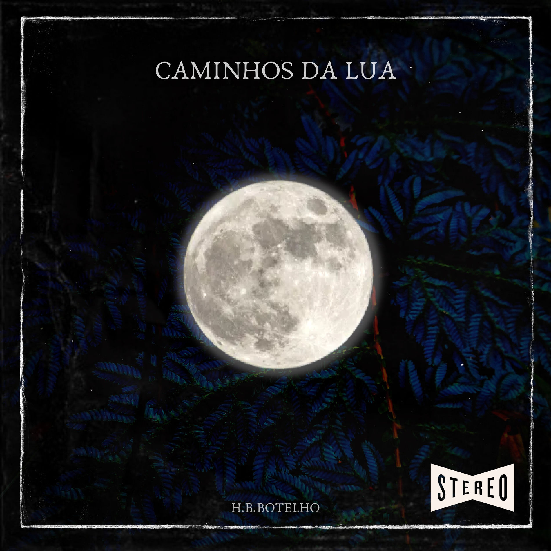 Album cover of Caminhos da Lua