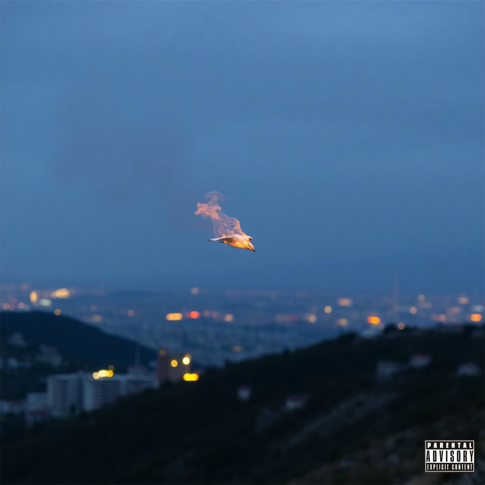 Album cover of KUŞ DİLİ VE EDEBİYATI