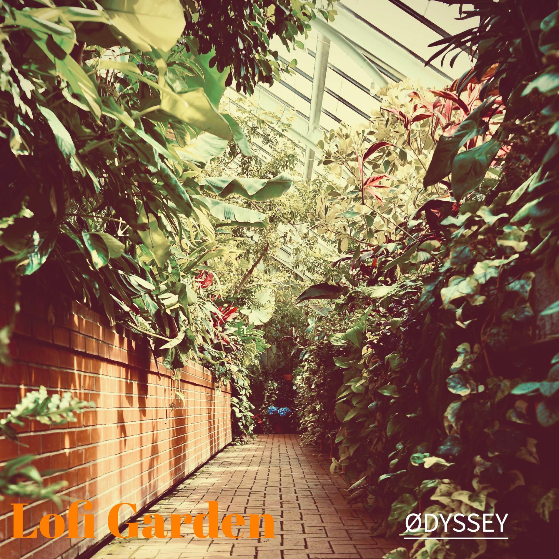 Album cover of Lofi Garden