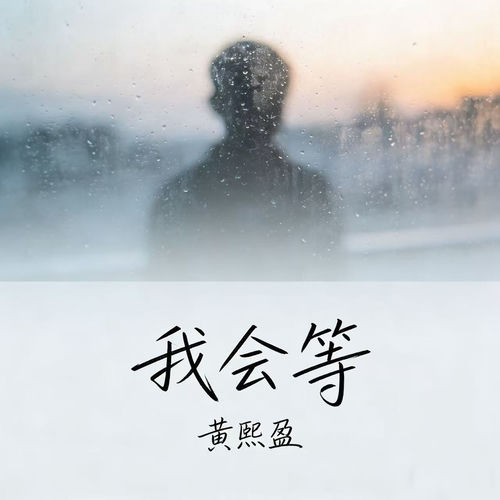 我会等