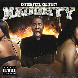 Cover of Naughty