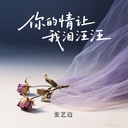 你的情让我泪汪汪