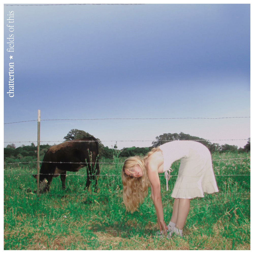 Pochette Fields of This