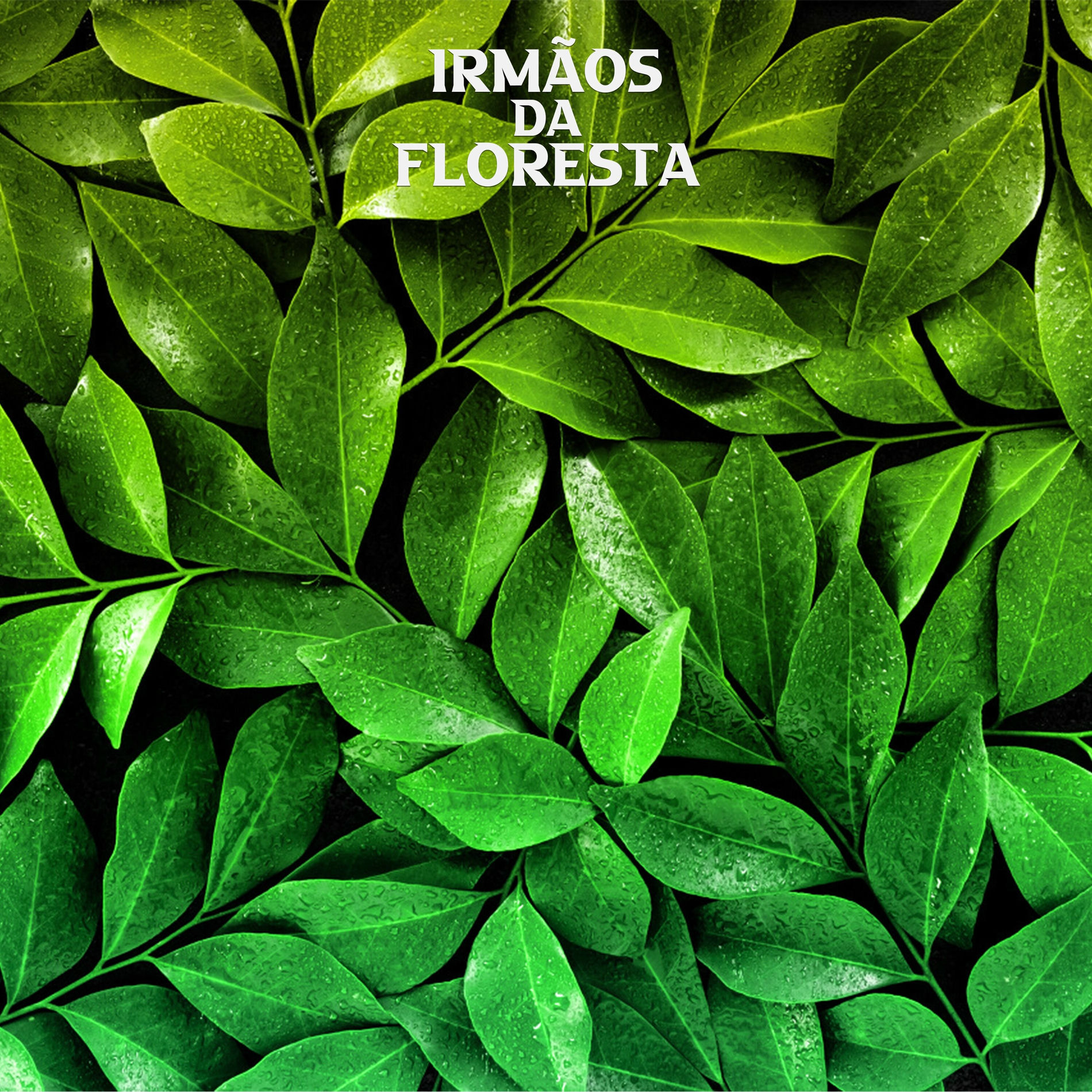 Album cover of Eu Vim