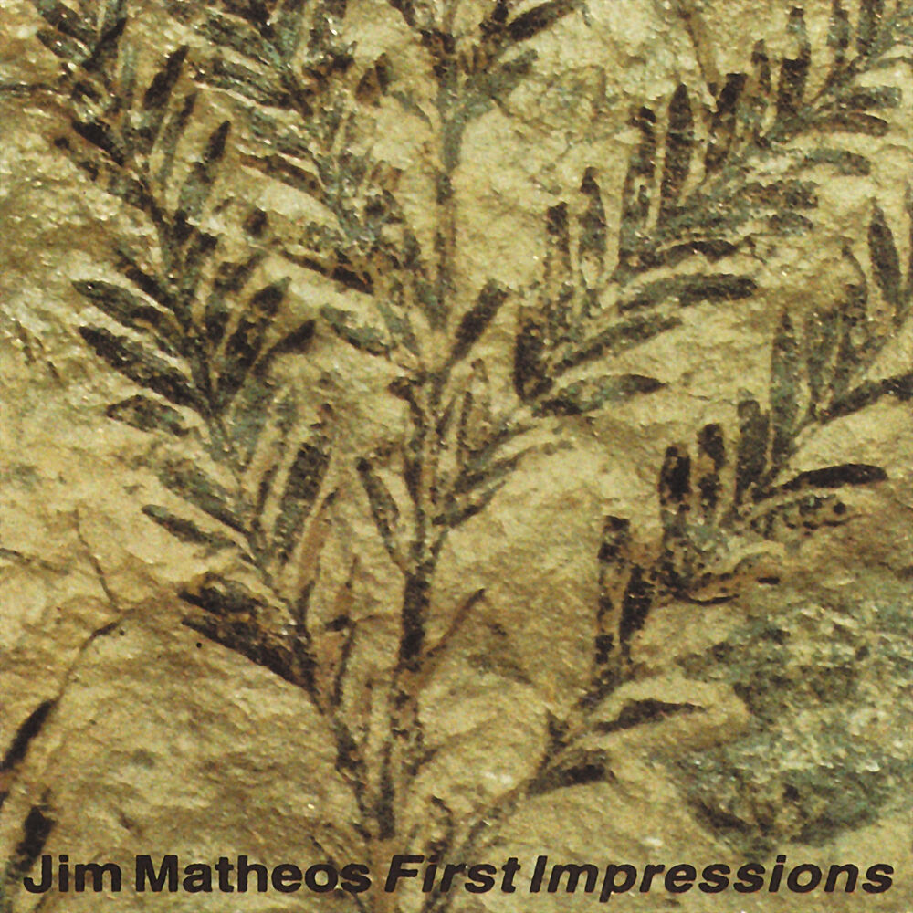 Picture of First Impressions