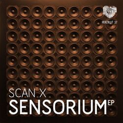 Sensorium