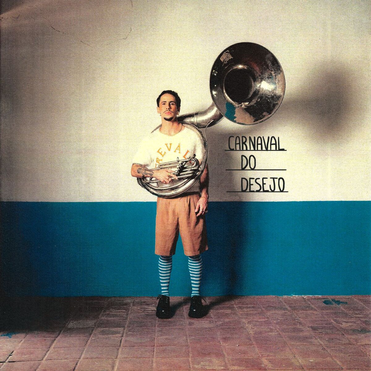 Album cover of Carnaval do Desejo
