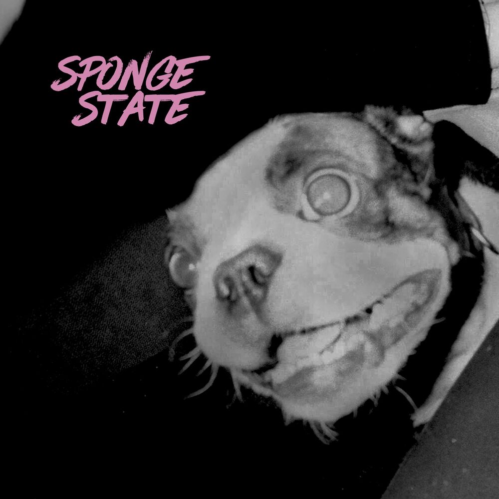 Picture of Sponge State