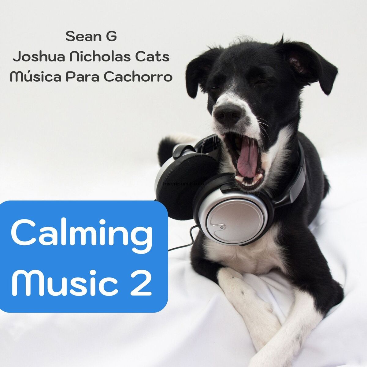 Album cover of Calming Music 2
