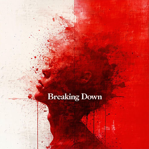 Breaking Down sleeve