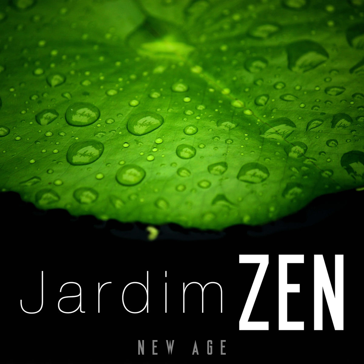 Album cover of Jardim Zen - Musica Relaxante para Abrir Chakras