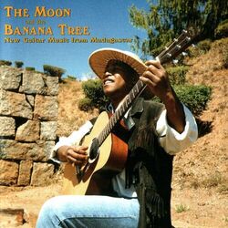 Cover of The Moon & The Banana Tree-Madagascar Guitar