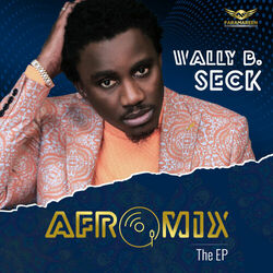Cover of Afromix