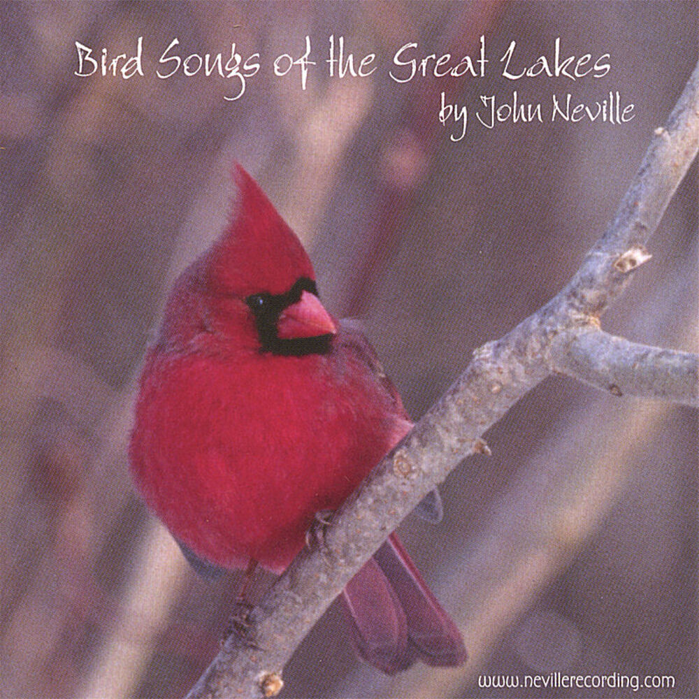 Picture of Bird Songs of the Great Lakes