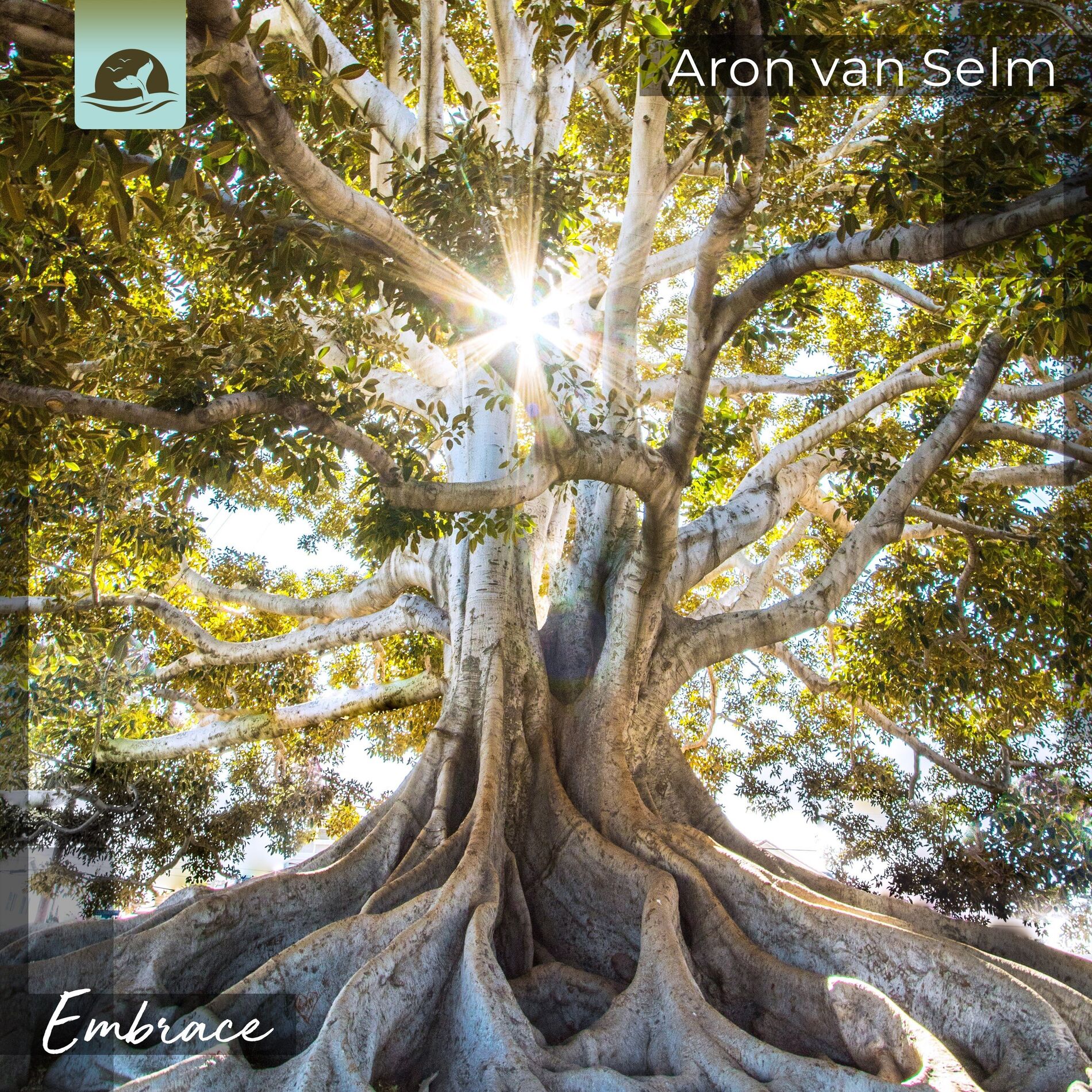 Album cover of Embrace