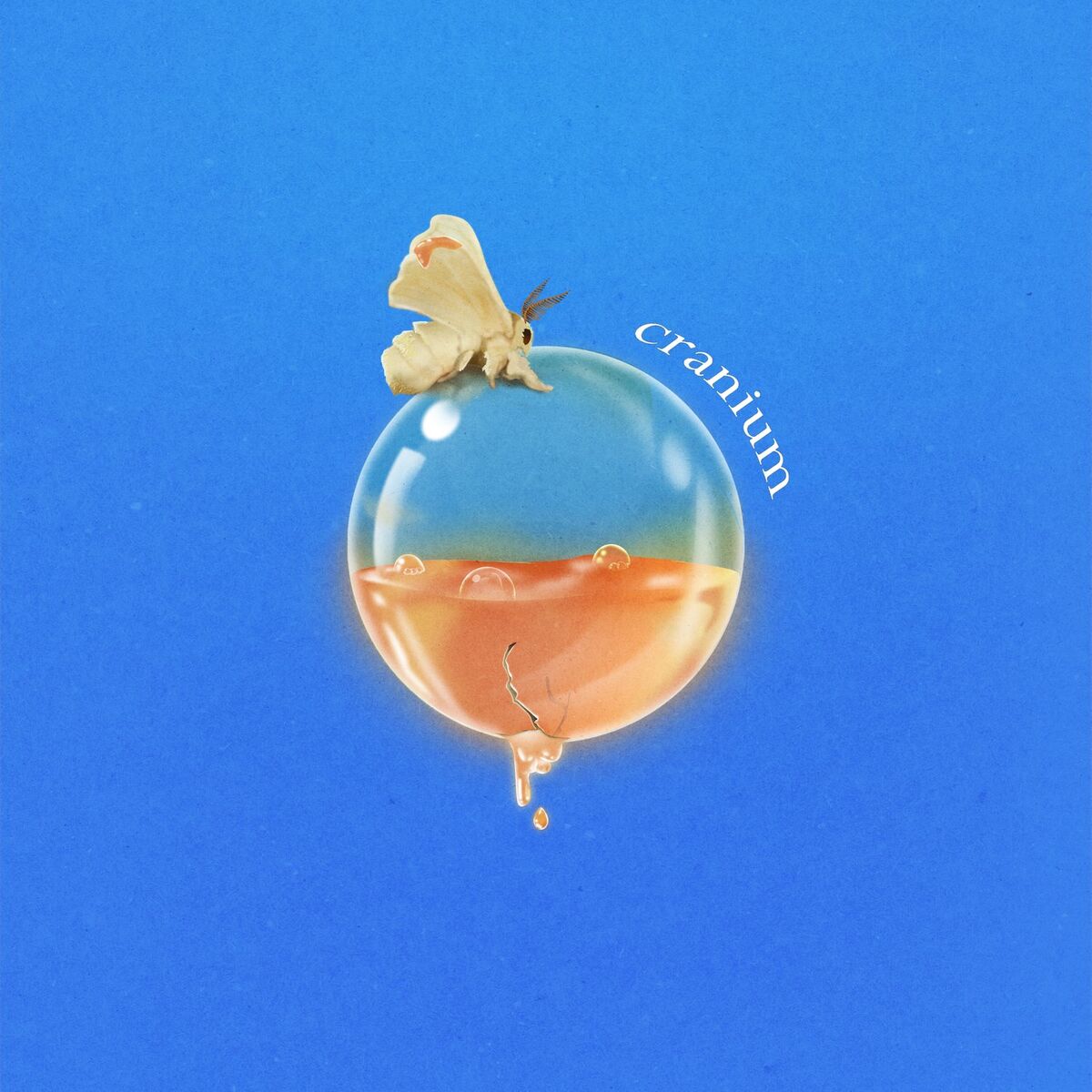 Album cover of Cranium
