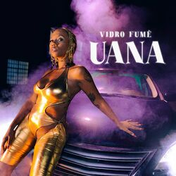 Cover of Vidro Fumê