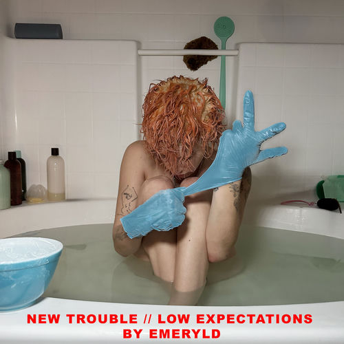 New Trouble // Low Expectations artwork