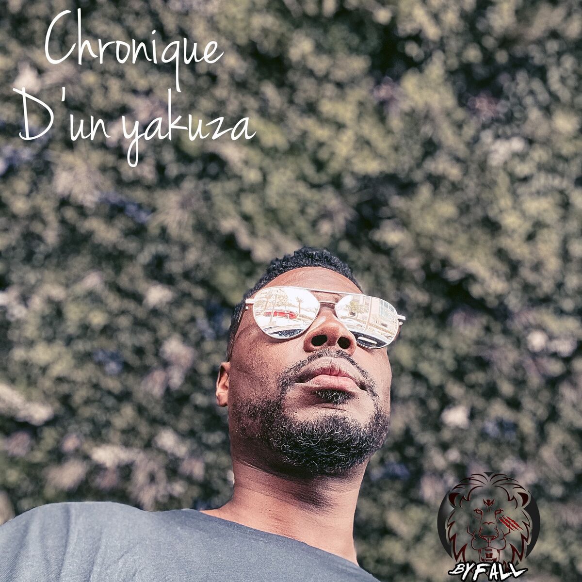 Album cover of Chronique d'un yakuza