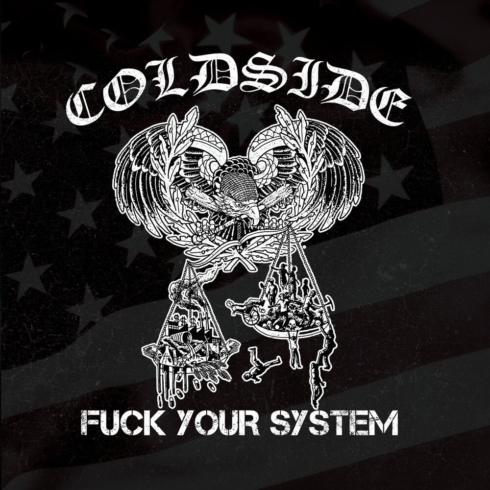 Picture of Fuck Your System