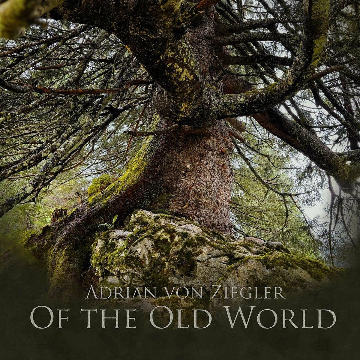 Album cover of Of the Old World
