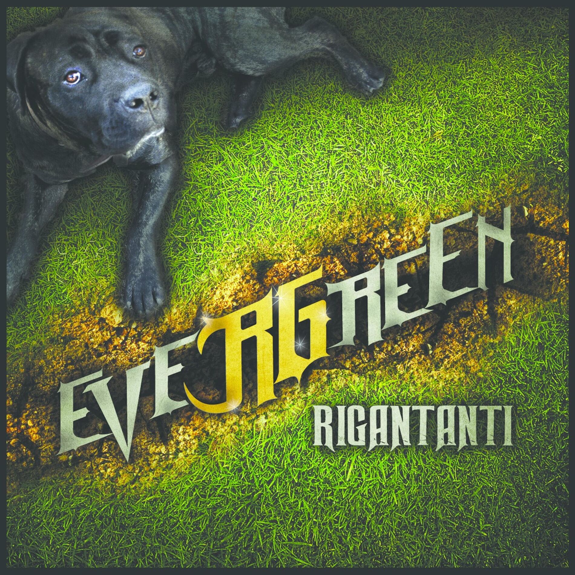 Album cover of eveRGreen