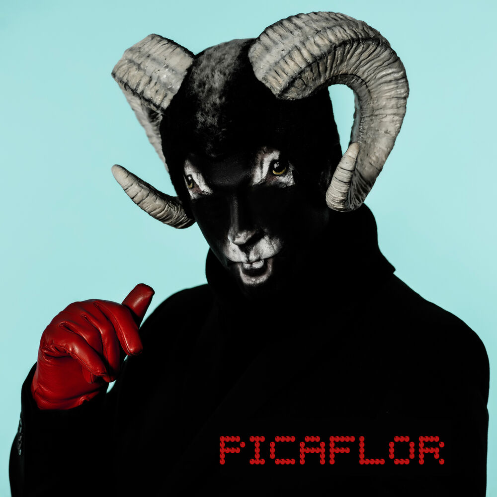 Picture of Picaflor
