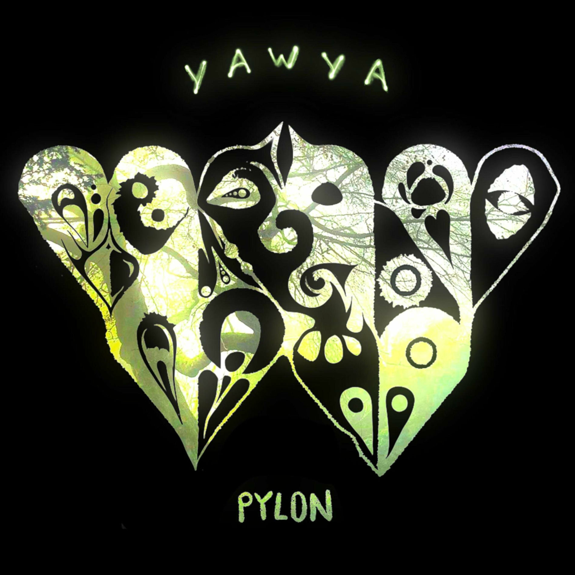 Album cover of You Are What You Are