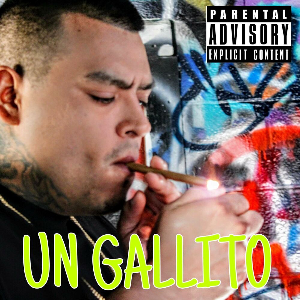 Picture of Un Gallito