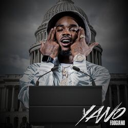 Cover of YANO