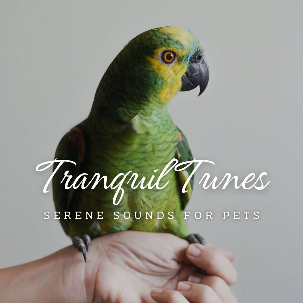 Picture of Tranquil Tunes: Serene Sounds for Pets