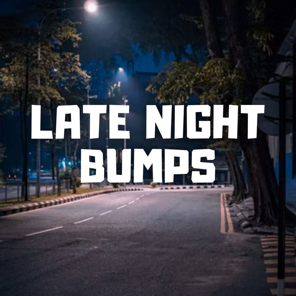 Picture of Late Night Bumps