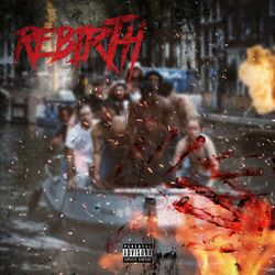 Cover of Rebirth