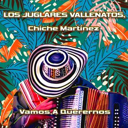Cover of Vamos A Querernos