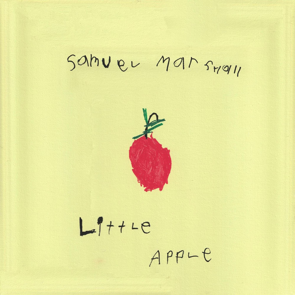 Album artwork for I Was Searching by Samuel Marshall