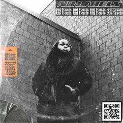 Cover of No Labels