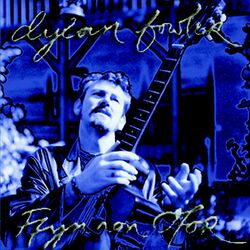 Cover of Ffynnon Ofor