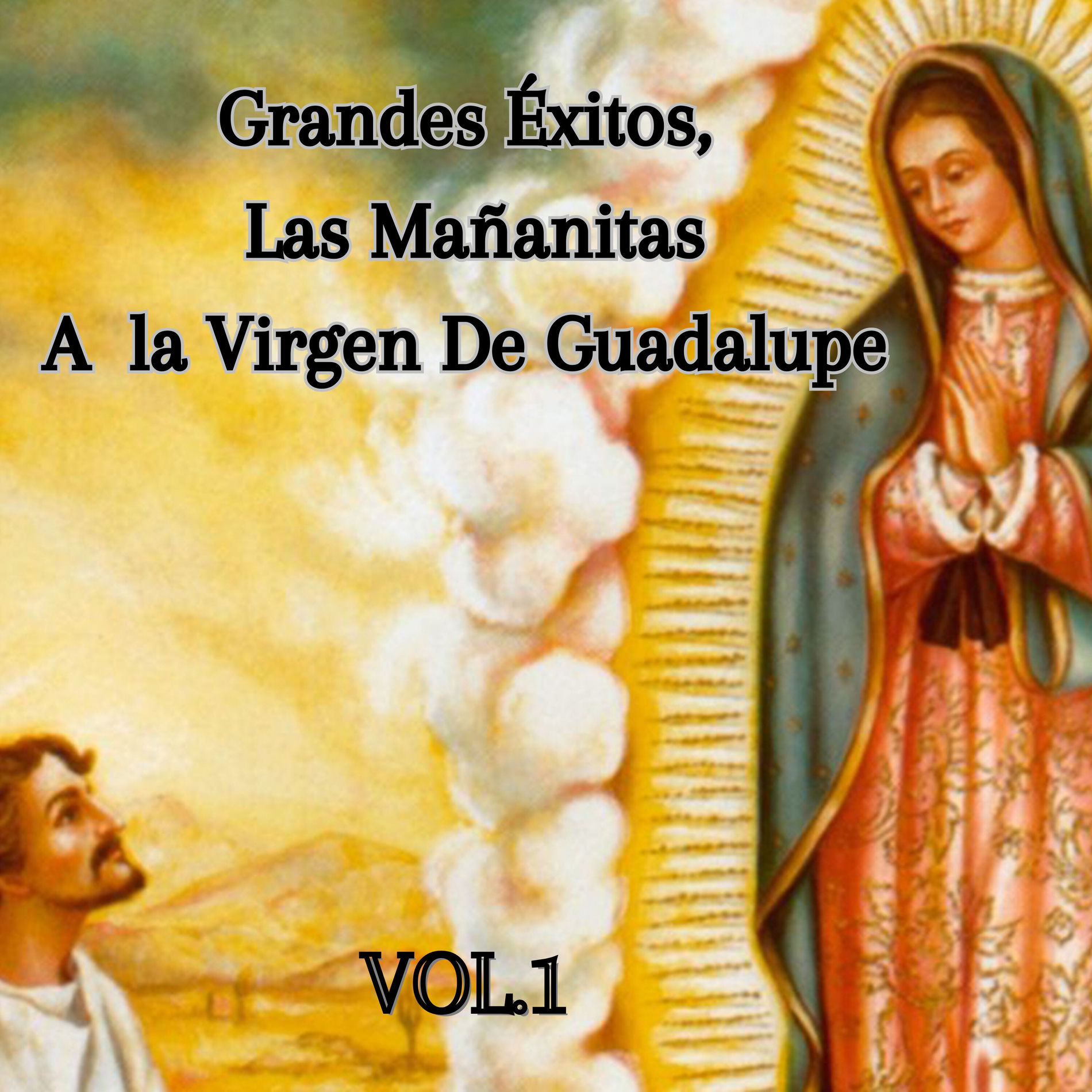 Album cover of Mañanitas a la Guadalupana