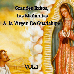 Grandes &Eacute;xitos, las Ma&ntilde;anitas a la Virgen de Guadalupe, Vol. 1 (En Vivo)
