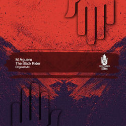 Cover of The Black Rider by undefined