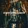 iRave by Van Snyder album cover