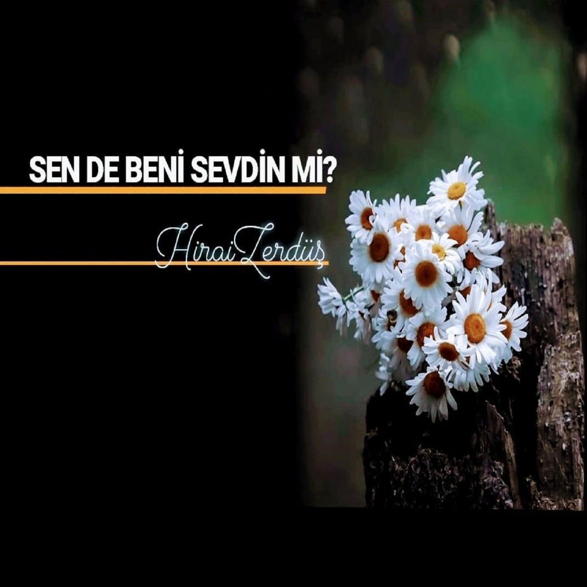 Album picture of Seven Eder Mi Böyle