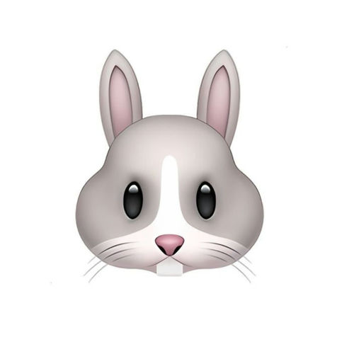 Bunnies