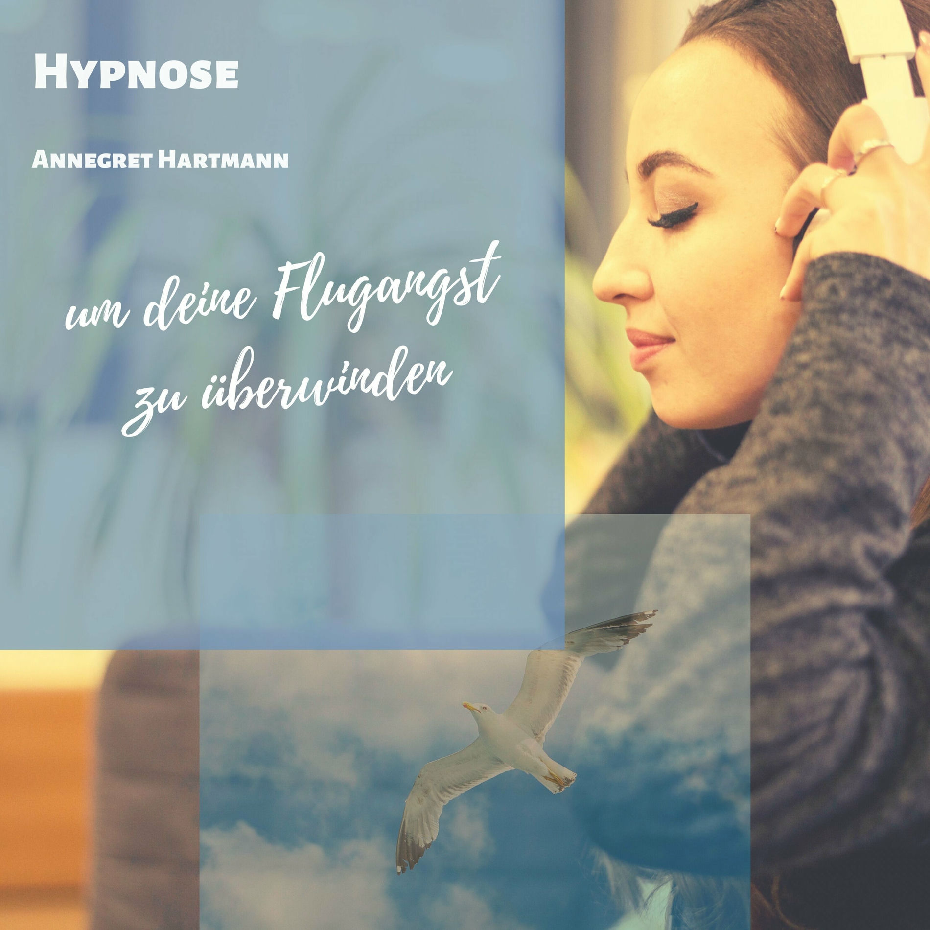 Album cover of Deine Flugangst überwinden